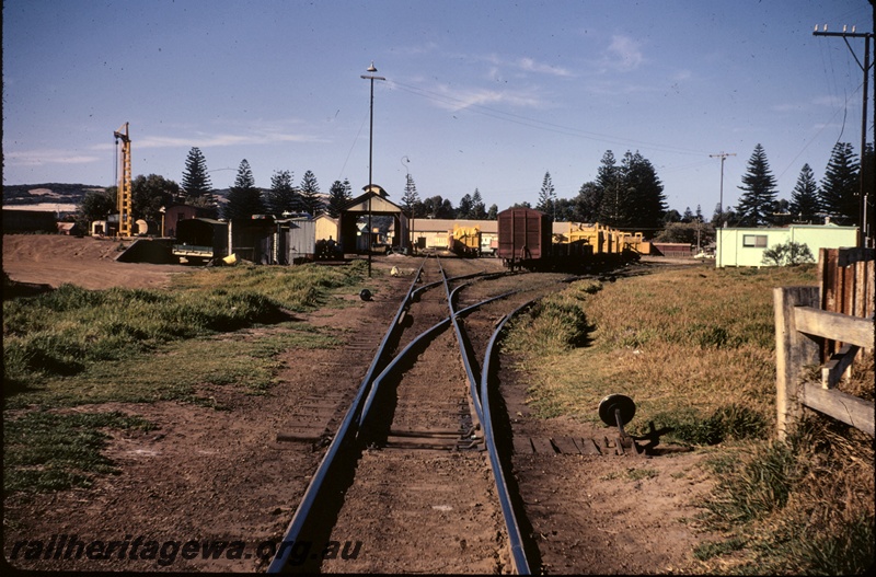 T04862
Rail yard, loading ramp, crane, points, point lever, sidings, goods shed, assorted wagons, signal, Norfolk Island pines, Esperance, CE line
