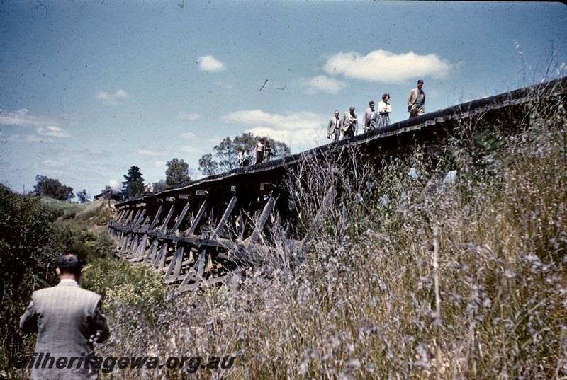 T04876
Upper Swan River Bridge, wooden trestle, tourists walking over it, 8 miles from Midland Junction, MR line, view from river level
