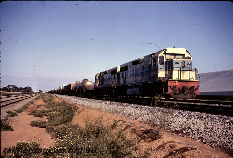 T05003
L class 256, and another L class loco, double heading No 1201 freight train, radio tower, sidings, disc signals, wheat bin, West Merredin, EGR line
