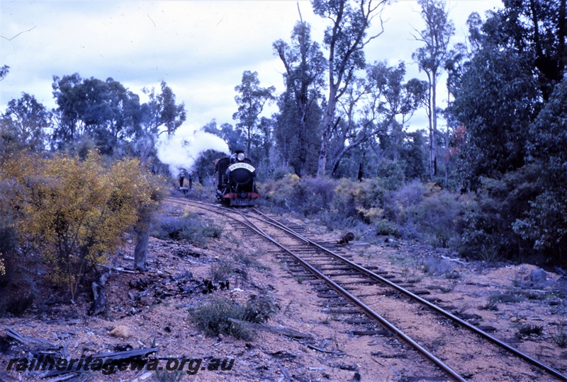 T05597
Cs class 270 "Black Butte" on the triangle at near Asquith, Banksiadale timber line. ARHS outing. 
