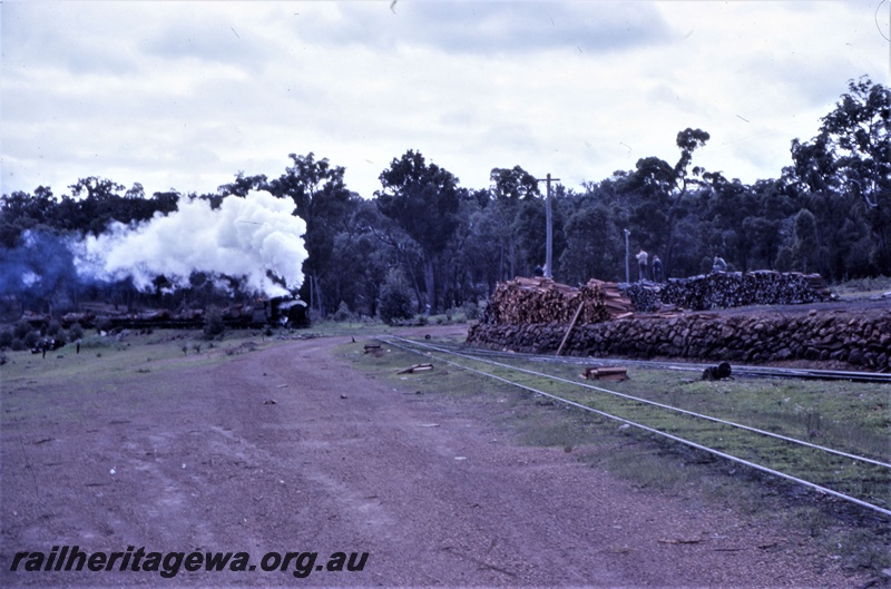 T05598
Cs class 270 "Black Butte" hauling log rake at Banksiadale timber mill.
