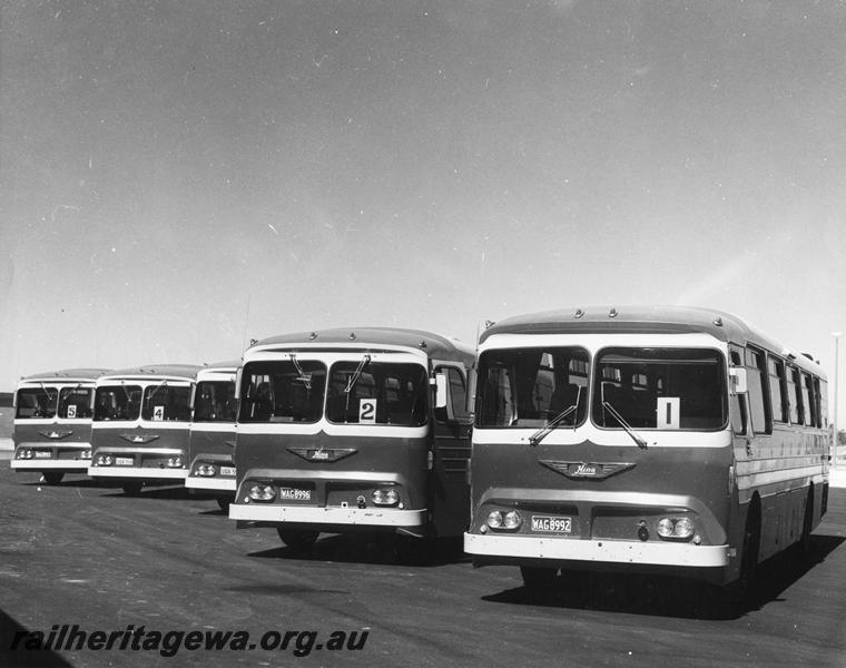 P00453
Railway Road Service Hino buses, line up of five buses, front and side view, Kewdale (explanatory note on the rear of the print)
