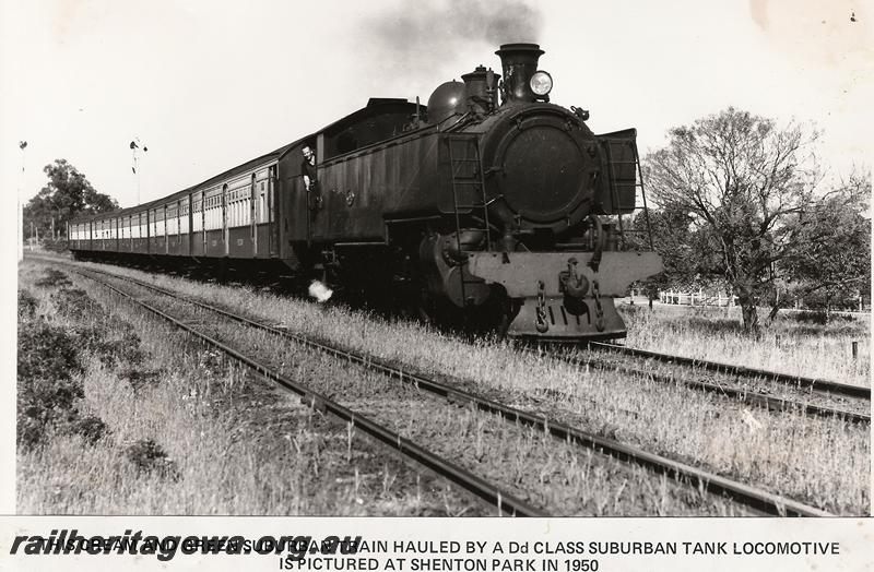 P00596
DD class, AY class carriages, Shenton Park, suburban passenger train
