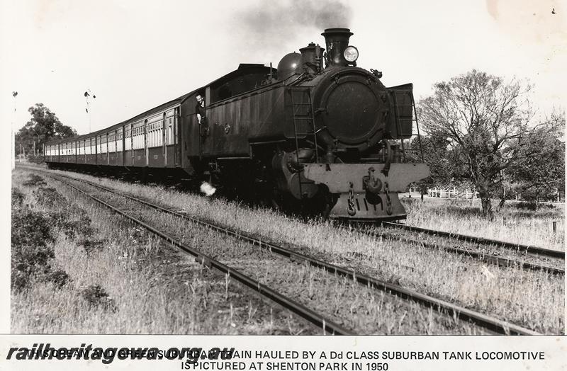 P00596
DD class, AY class carriages, Shenton Park, suburban passenger train
