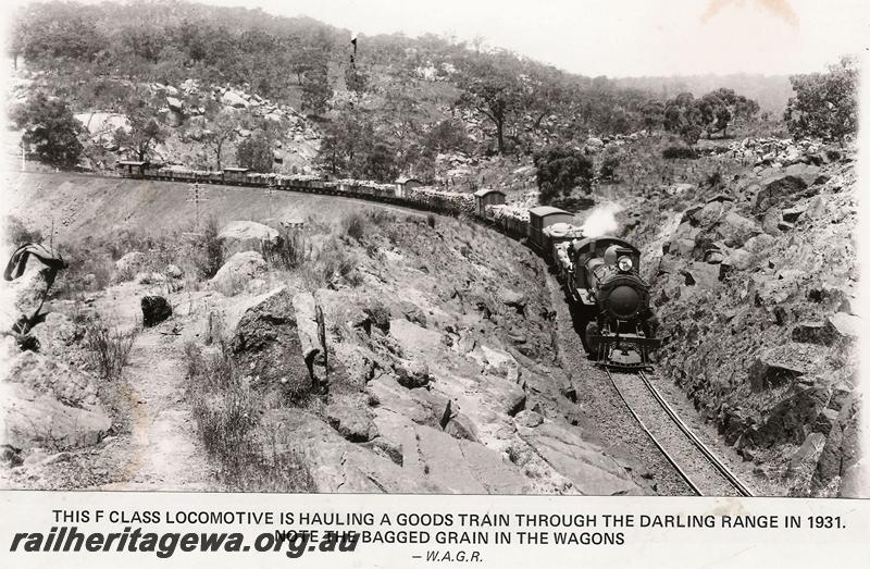 P00646
F class, just exited Swan View tunnel with goods train, ER line
