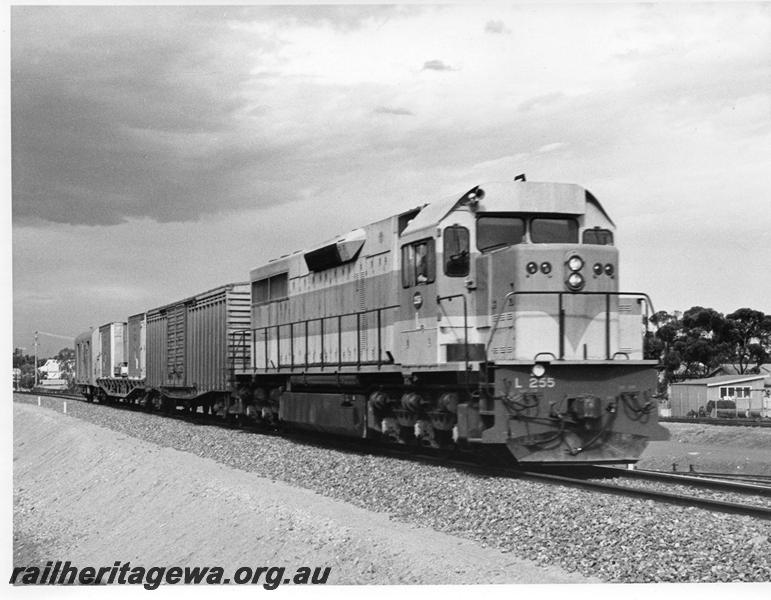 P00694
L class 255 with short train with brakevan
