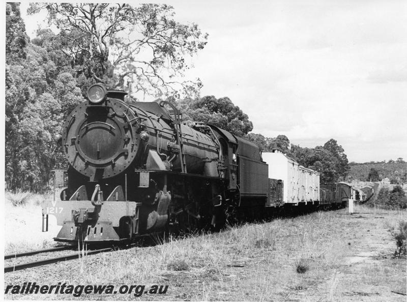 P00732
V class 1217, goods train, same train as in P0717 and P0719
