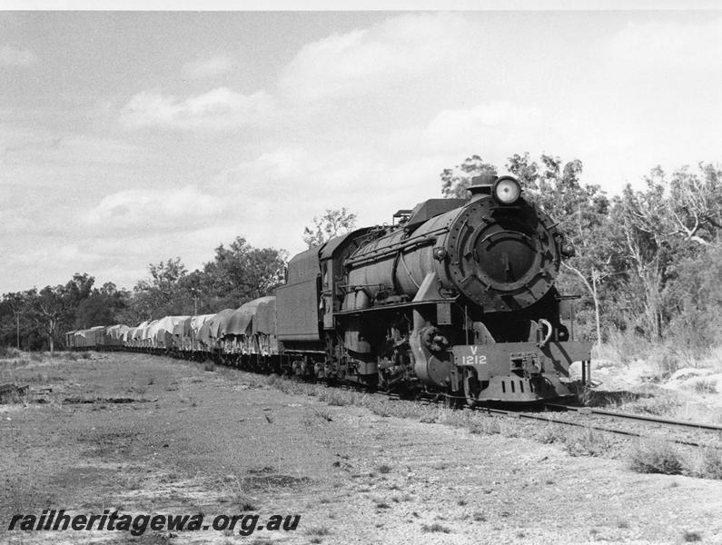 P00738
V class 1212 equiped with a Cauchon chimney, between Bowelling and Collie, BN line, goods train
