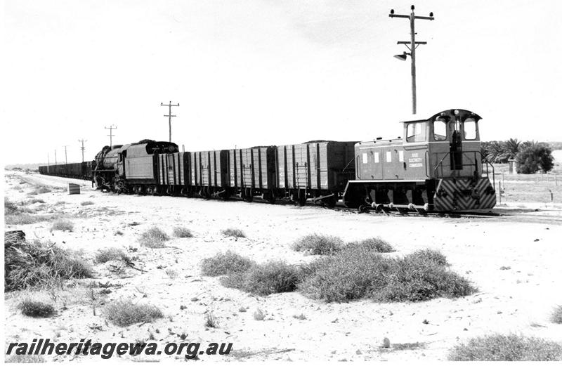 P00748
SEC 0-6-0 diesel loco, V class 1217, Bunbury Power House line, shunting loaded coal wagons
