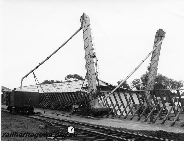 P00767
Wheat bin, grain elevator, Cunderdin, EGR line, loading wheat into a wagon
