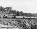 P00667.jpg