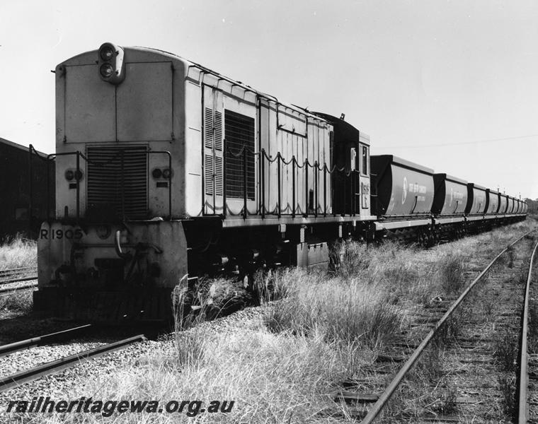 P00937
R class 1905 in pink livery, hauling train of XG class hoppers
