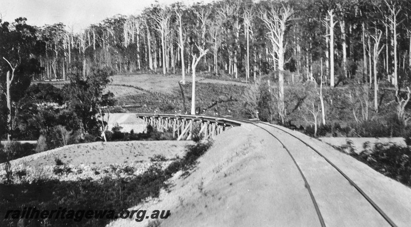 P01077
Track leading to the trestle bridge at the 252m, 20ch point over the Warren River, PP line, view along the line.
