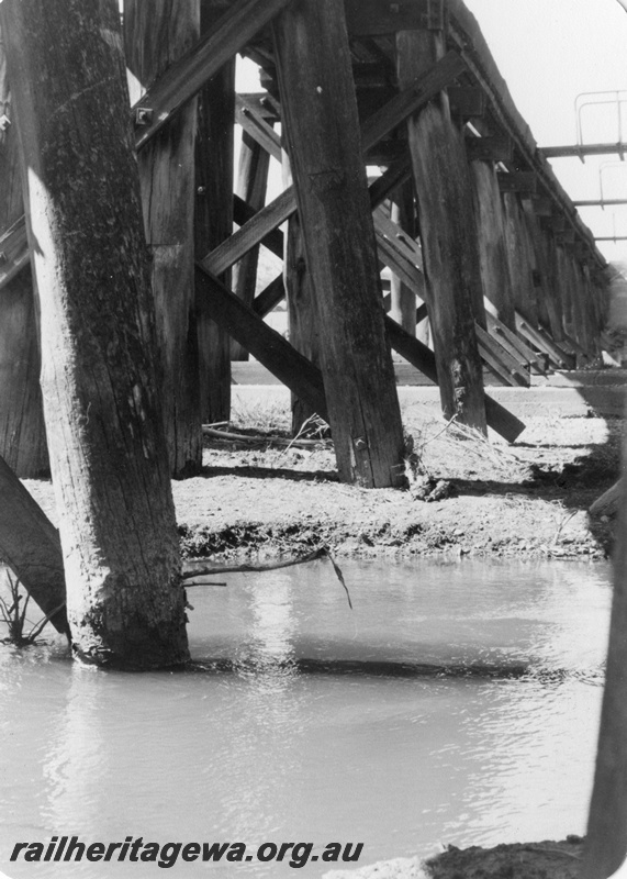 P01410
5 of 16 images of the pair of trestle bridges over the Canning River at Gosnells, SWR line, ground level view of the trestle bents from the north west
