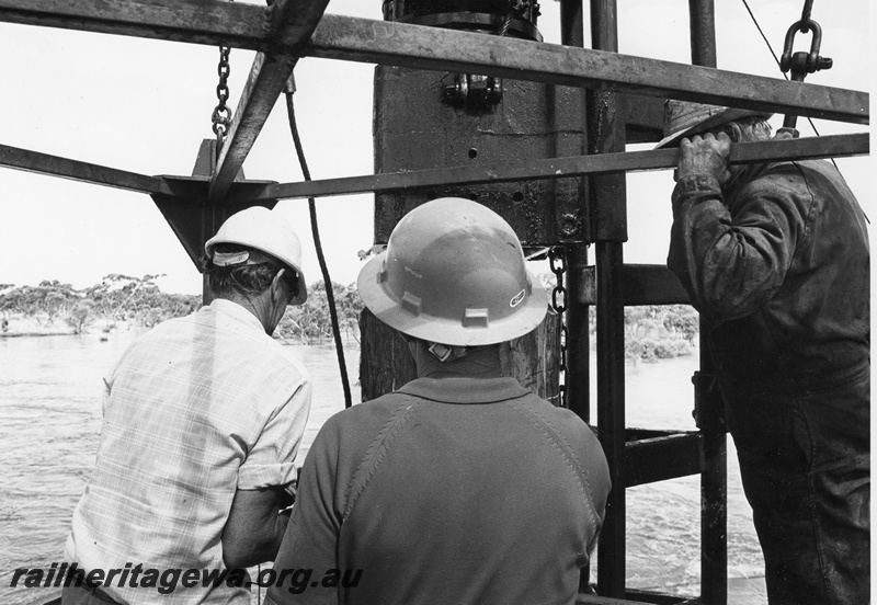 P01494
Trestle bridge under construction, Zanthus, TAR line. (ref 