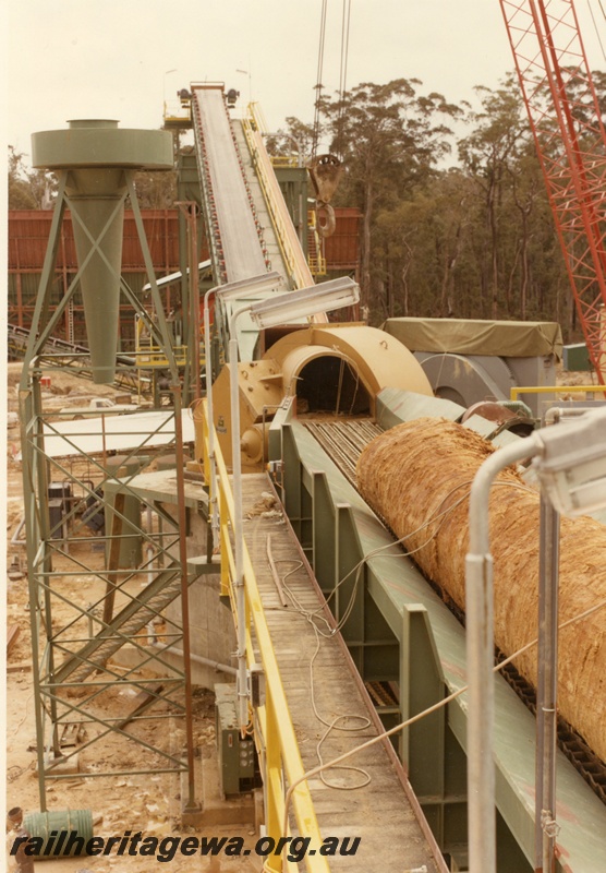 P01625
Wood chip mill, Manjimup, log on conveyor belt to the chipper
