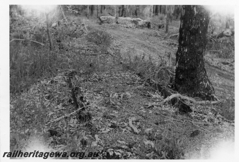 P01682
Remains of wooden rails (4