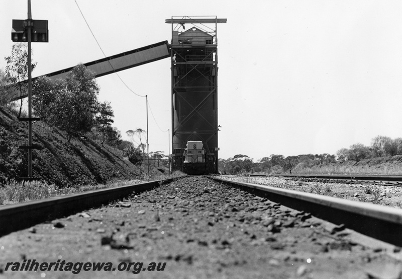 P01920
L class 255 under the iron ore loading plant at Koolyanobbing
