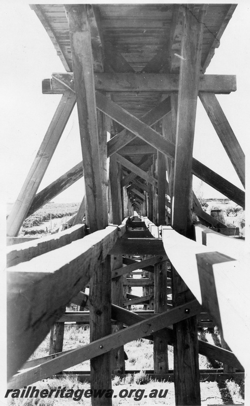P01963
MRWA trestle bridge, view along the underside of the deck. Showing the cross bracing.
