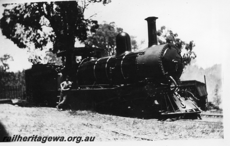 P02193
Bunnings loco No.176, side and front view
