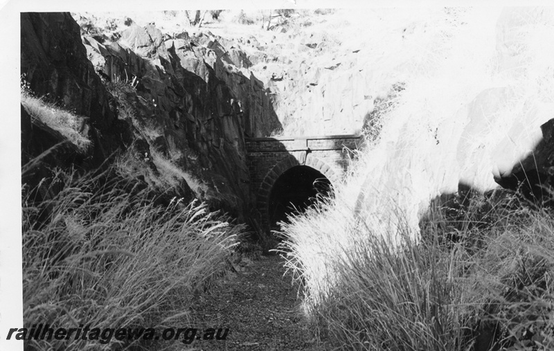 P02223
Tunnel Swan View, ER line, western portal, elevated view looking along the cutting when abandoned
