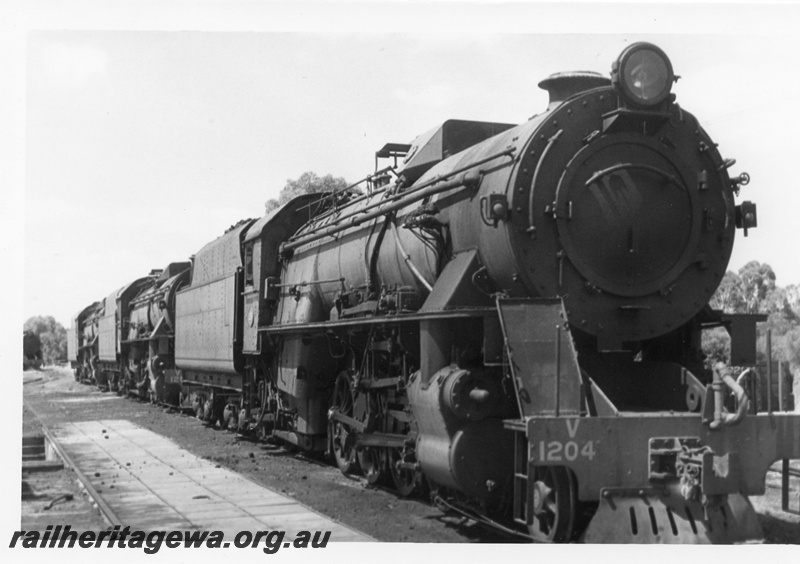 P02349
V class 1204 in a line with two other V classes, Midland Loco Depot, side and front view.
