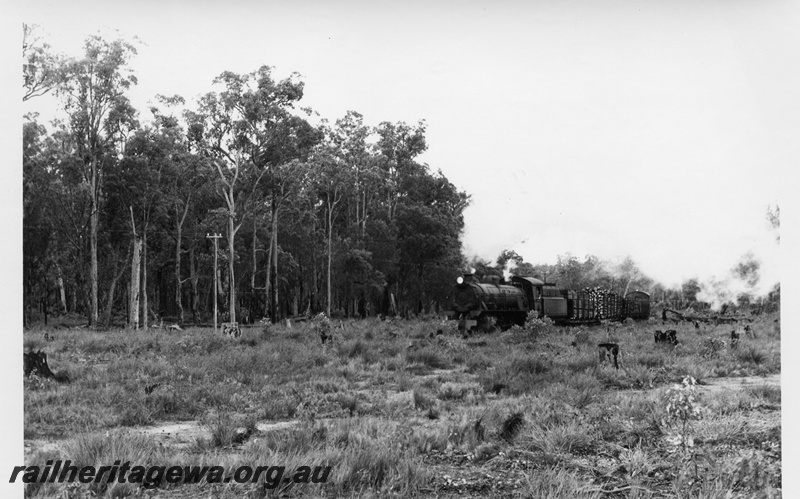 P02360
W class 952, Quilergup, WN line, timber train, last steam loco to work on this line.
