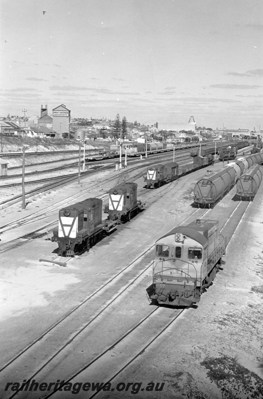 P02428
Three Y class diesel locomotives, front and side view, J class 105 diesel locomotive, front view, multiple tracks, bulk wheat hoppers, Leighton yard, ER line.
