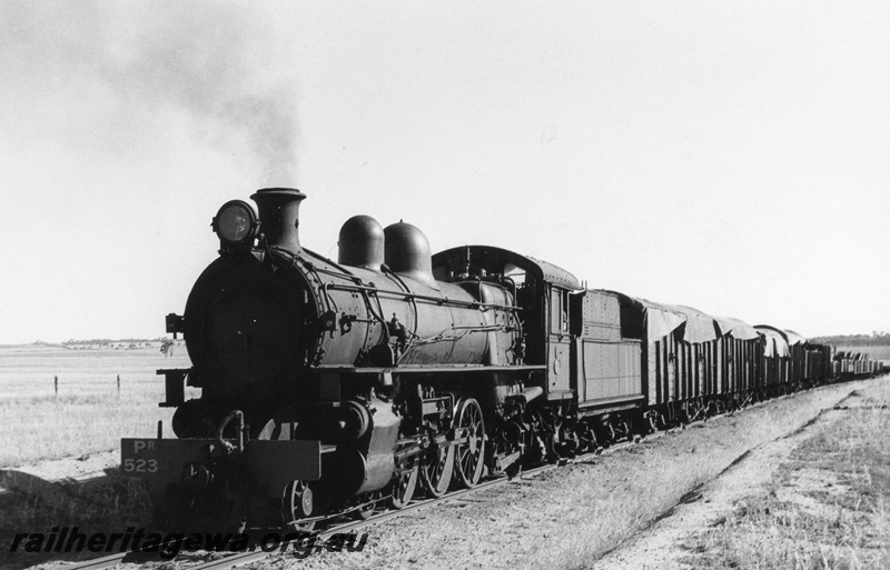 P02498
PR class 523 