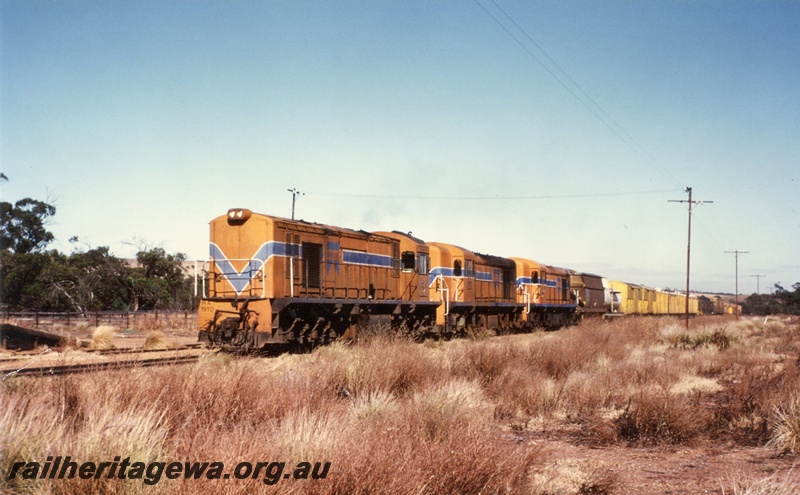 P02552
RA class 1910 diesel locomotive hauling C class 1701 and C class 1702 diesel locomotives dead, front and side view, Yandanooka, MR line. 
