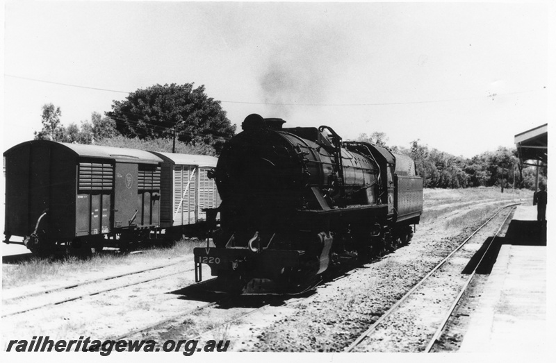 P02643
V Class 1220 steam locomotive, awaiting the ARHS 75th tour train to arrive from Perth, will take the train to Donnybrook, front and side view, FD Class 14140 all steel louvered van one of three converted with steel louvres and plywood sides in brown livery, Picton Junction, SWR line
