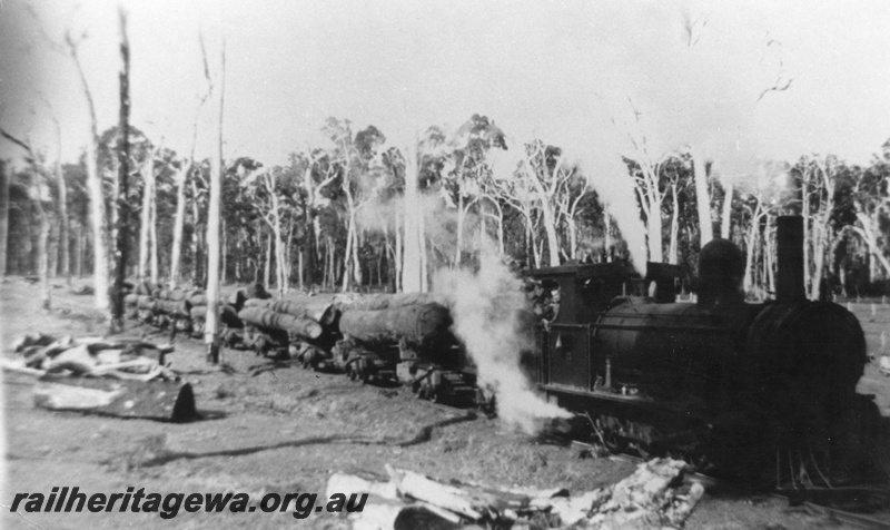 P02790
Adelaide Timber Co. loco Y 71, East Witchcliffe, hauling a log train, c1935
