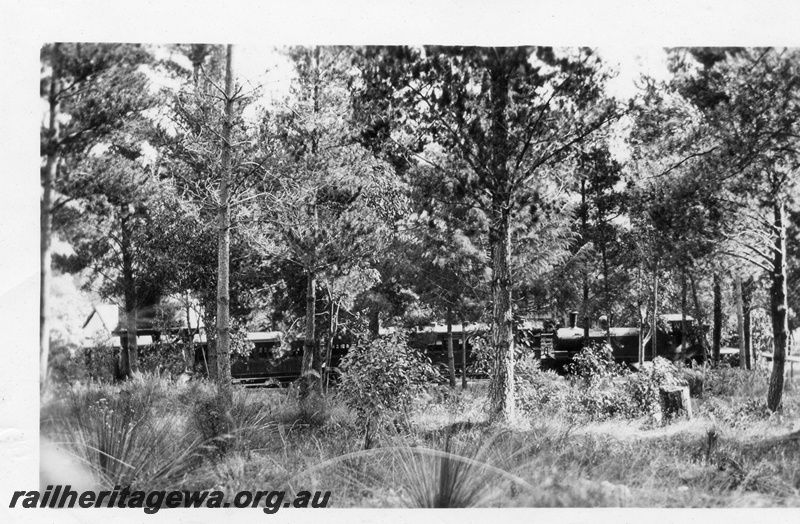 P02802
N class 4-4-4T loco, Mundaring Weir station, MW line, side view of train through the trees
