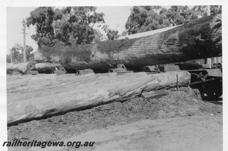 P02856
Unloading logs at mill landing at Banksiadale.
