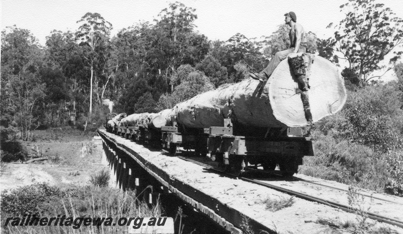 P02879
Log train hauling log bogies crossing a trestle bridge, last log in the rake has a worker sitting atop of the log, Pemberton.
