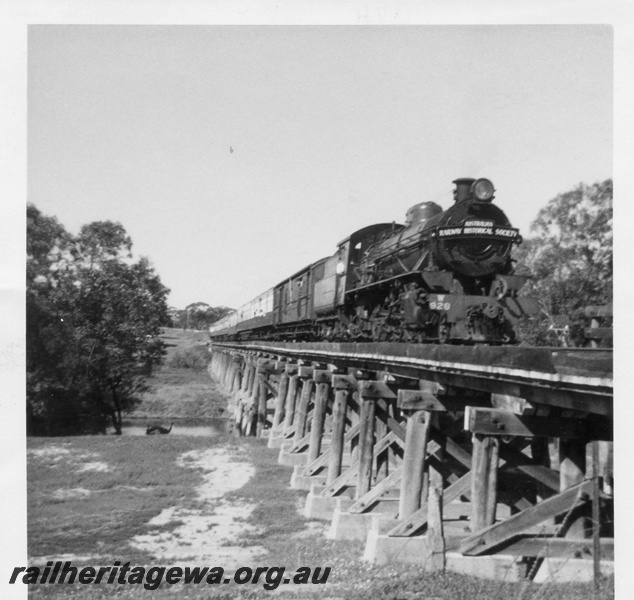 P02894
W class 928 steam locomotive hauling ARHS tour train crossing the Avon River over a wooden trestle bridge between York and Mount Hardey, YB line.
