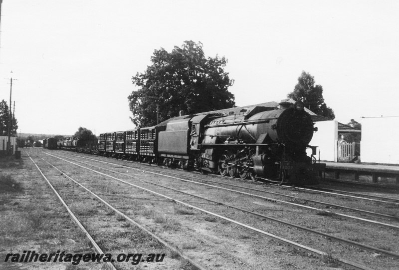 P02901
V class 1207 steam locomotive with the No. 345 goods train from Bunbury, side and front view, Donnybrook, PP line.
