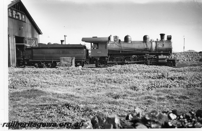 P02990
L class 253 steam locomotive, side view, at Geraldton shed.
