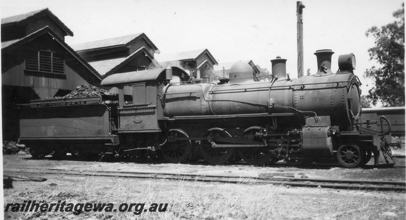 P03017
ES class 302 steam locomotive, side view, East Perth loco, c1940s.
