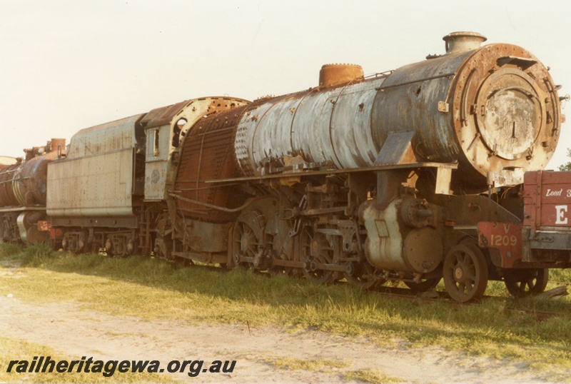 P03032
V class 1209 steam locomotive, side and front view, Queenscliff, Victoria.
