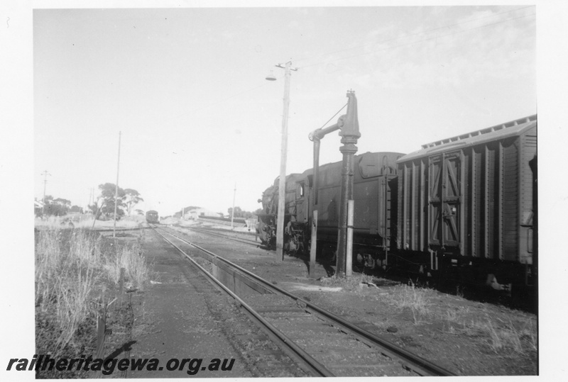 P03076
V class 1222 steam locomotive, side view, DC class covered van, water column, Cunderdin, EGR line.
