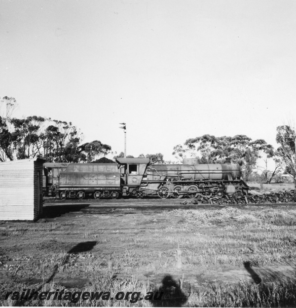 P03138
W class 915, Narrogin, GSR line, side view
