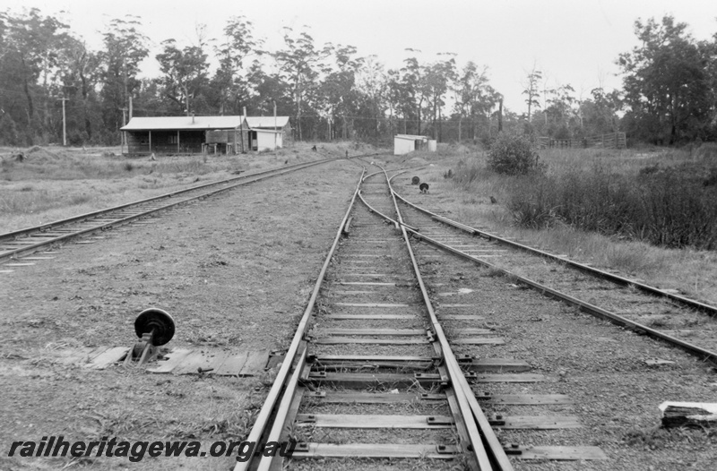 P03316
Trackwork in yard, cheese knobs, Northcliffe, PP line, view along the track
