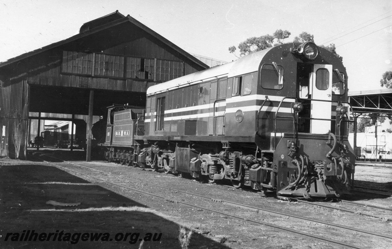 P03419
MRWA B class 6 steam locomotive, view of tender in the shed, side and front of MRWA G class 50 diesel locomotive in front of shed, Midland Junction, MR line.
