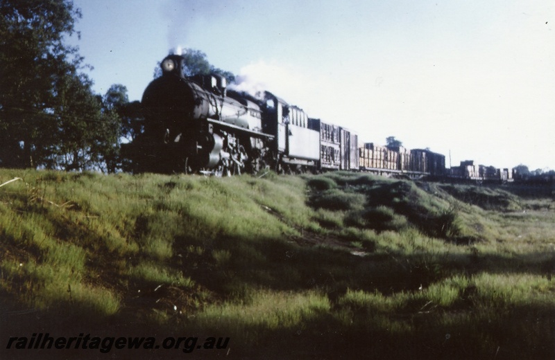 P03469
PMR class 730 steam locomotive on its last run between Busselton and Wonnerup on a goods train, front and side view, BB line.
