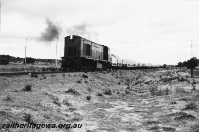 P03507
R class diesel locomotives, front and side view, on a superphosphate train, Coogee, FA line.
