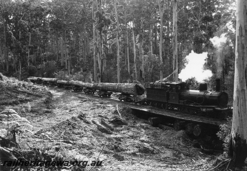 P03524
SSM Loco No 9 (Ex G class 135) Hauling a log Train c1950
