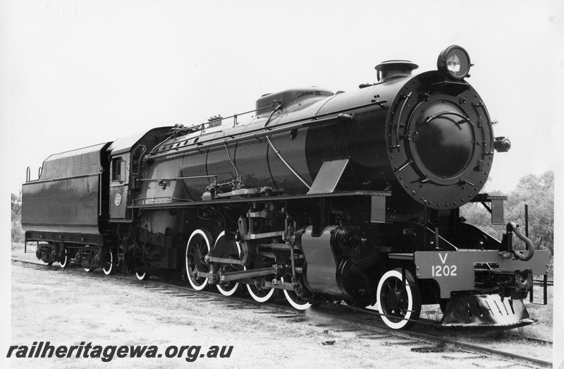 P03606
V class 1202 steam locomotive in as new condition, side and front view.
