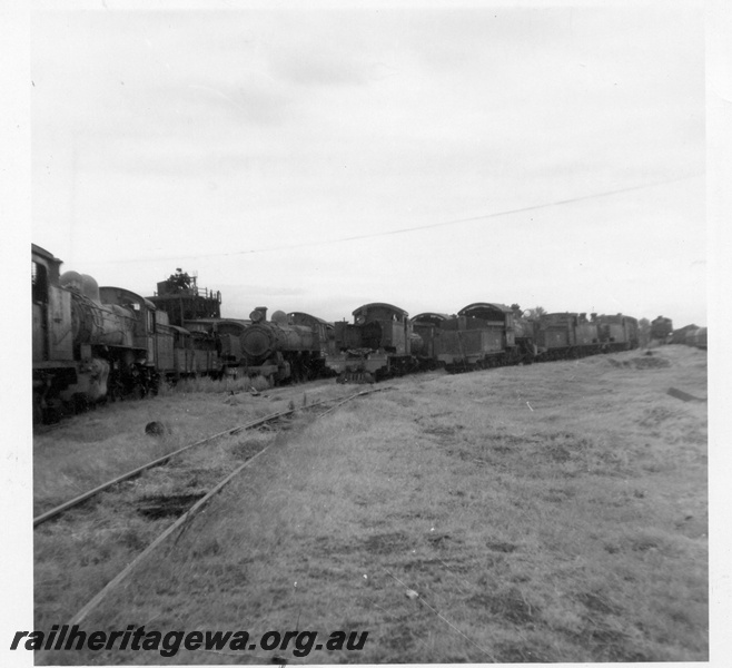 P03616
Stowed steam locomotives, Midland loco depot.
