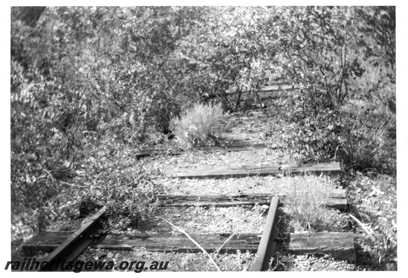 P03633
Track, Mornington, end of the road approx. one mile east of the mill, view along the track.
